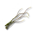 Nidwurm-Schnurrhaare