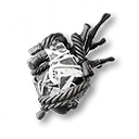 ฟิก​เกอร์​โบน​ค​รัช​ชา