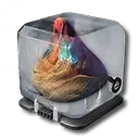 Verderbte Jadeblatt-Knolle