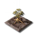 Rotjade-Ginseng-Beet